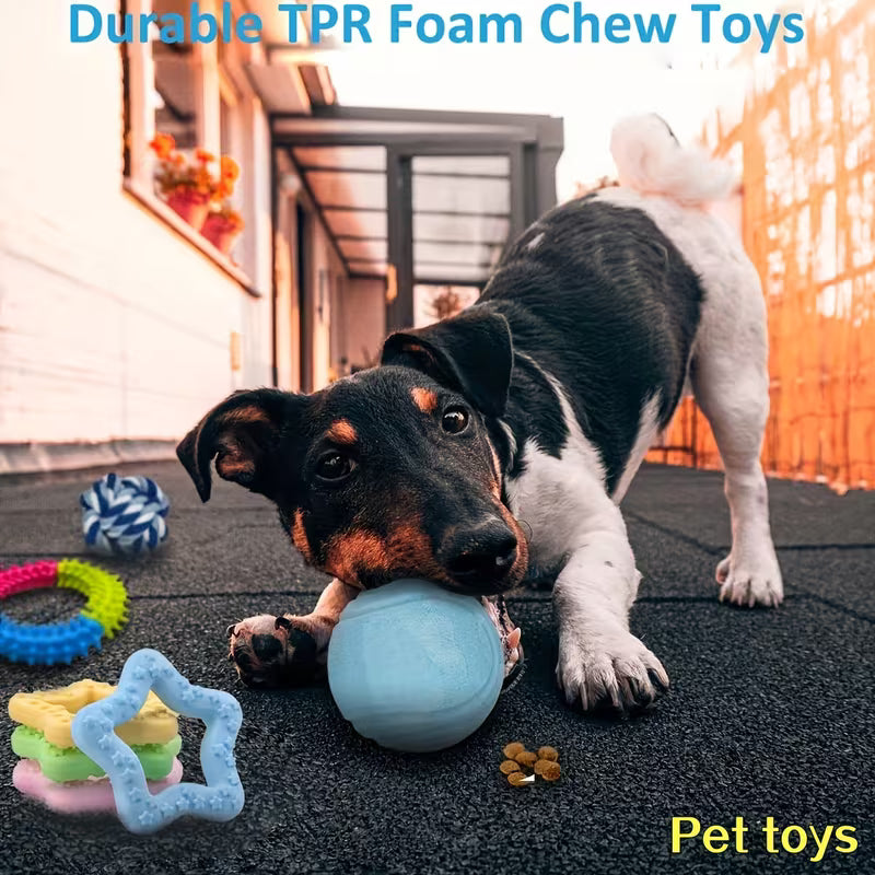 Random 3/6pcs Styles Random Colors Dog Chewing Toys