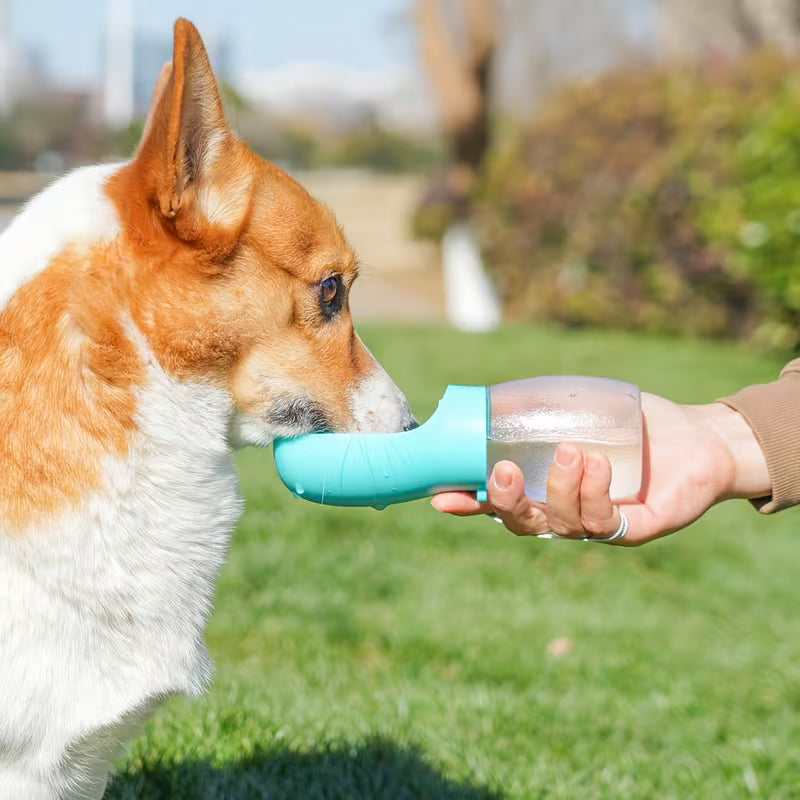 Dog Portable Water Cup for Outings
