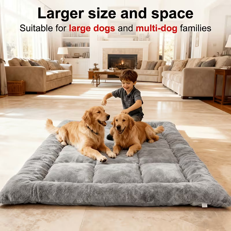 Huge Bed
