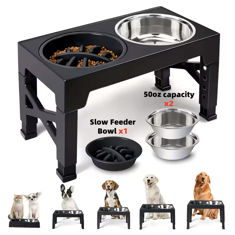 Dog Bowl Stand