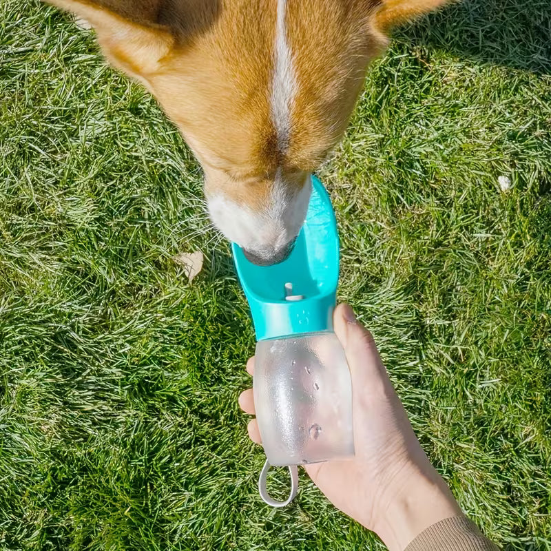 Dog Portable Water Cup for Outings